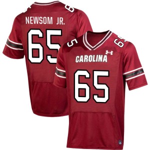 Men Rodney Newsom Jr. Garnet Gamecocks #65 NCAA Jersey 636638-809