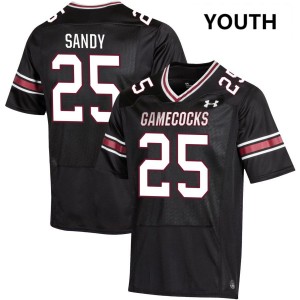 Youth Zahbari Sandy Black Gamecocks #25 2025 Jersey 505393-957