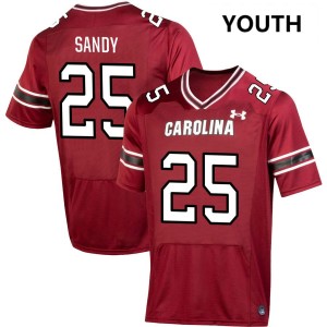 Youth Zahbari Sandy Garnet University of South Carolina #25 2025-26 Jerseys 173729-670